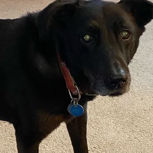 **3 for $25**  select  shorts are 3 for $25! Just bundle and send offer